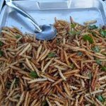 Worms in Thailand - Exotic foods