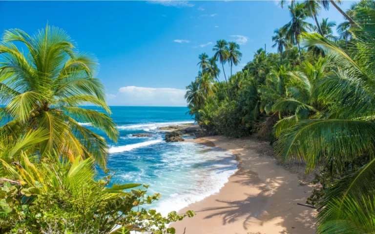 Beach in Costa Rica